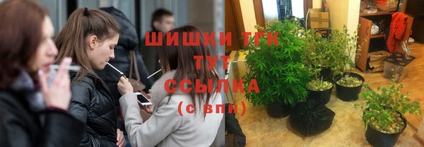 гидра Кулебаки
