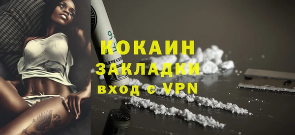 гидра Кулебаки