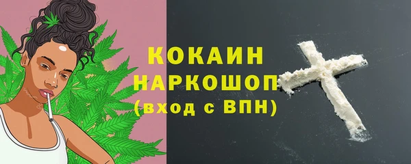 гидра Кулебаки