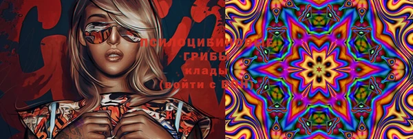 гидра Кулебаки
