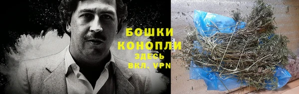гидра Кулебаки