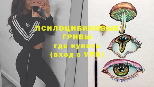 гидра Кулебаки