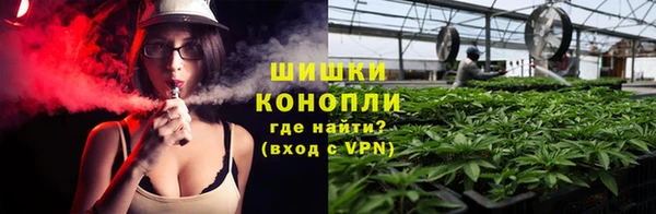 гидра Кулебаки