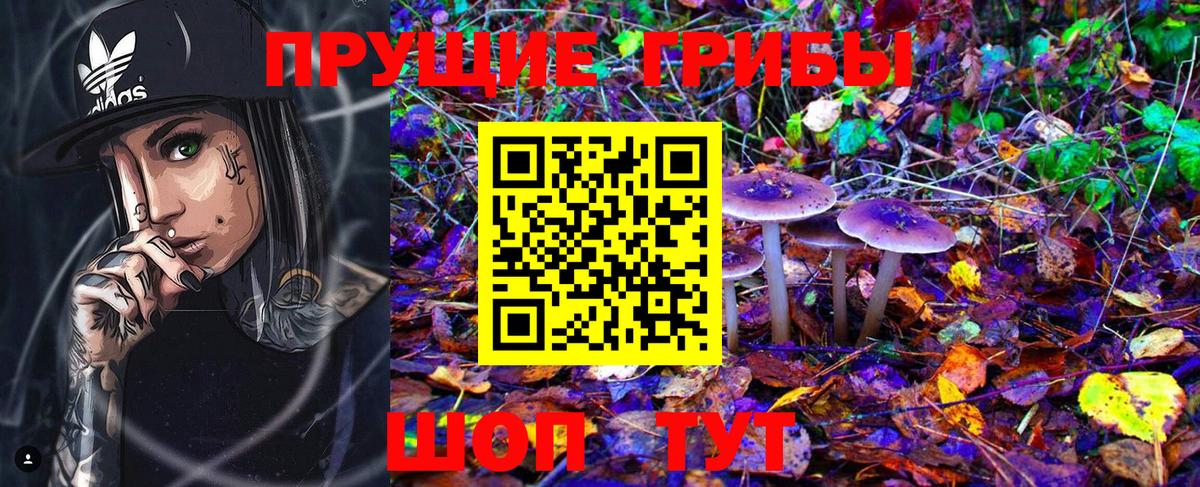где найти   Вход с VPN  Сарапул  Псилоцибиновые грибы Magic Shrooms 
