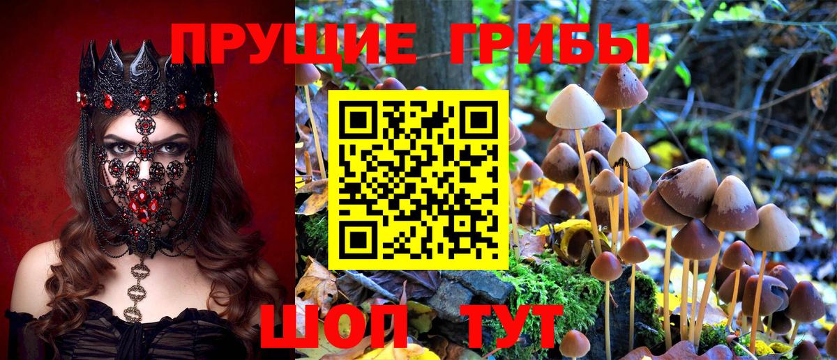 Галлюциногенные грибы Cubensis Сарапул
